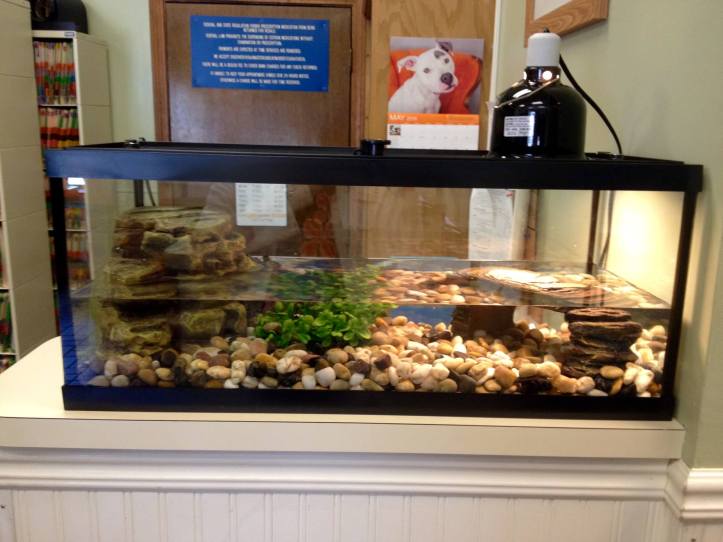 33532247_798885873652915_6629774469441257472_o