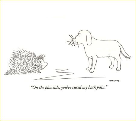 2142248764744815672fc4392fa5d6d3