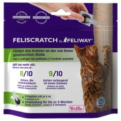 feliscratch